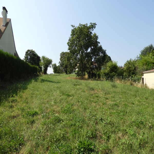 Offres de vente Terrain Saint-Germain-de-la-Grange 78640
